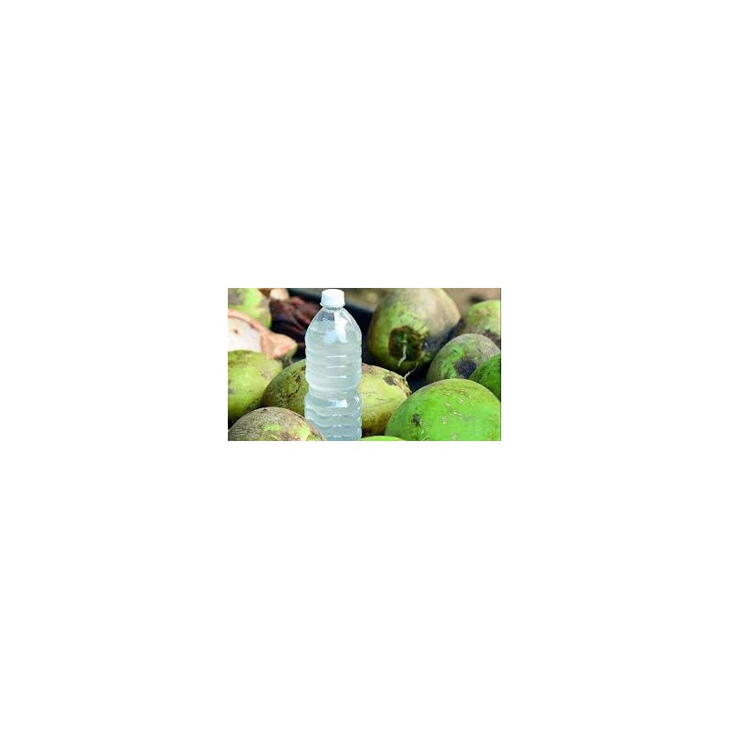 Coconut Water 2L