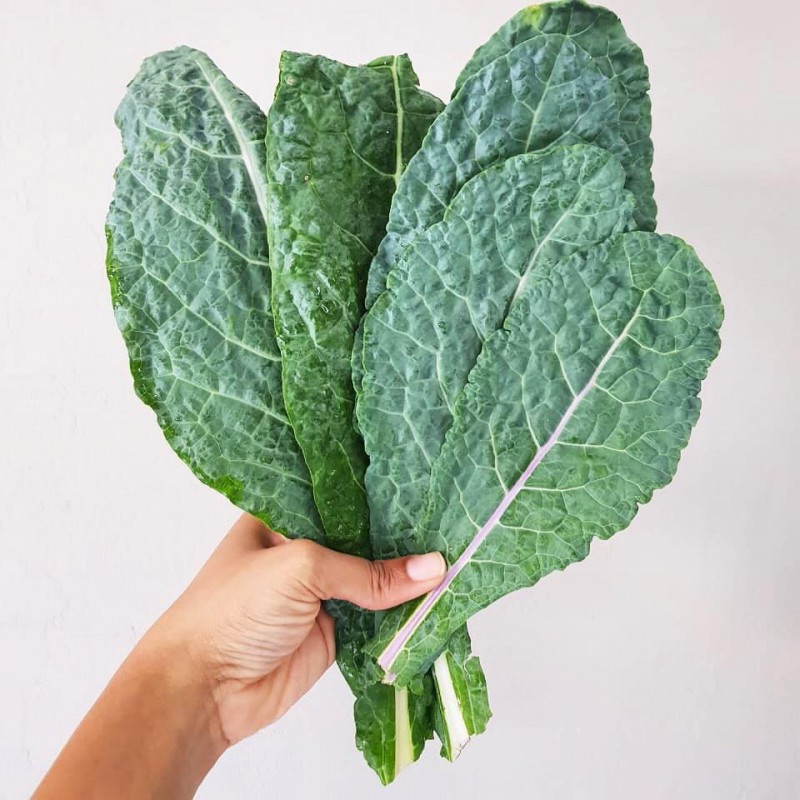 Purple Kale Mix