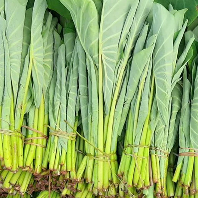 Callaloo Bush (Roll)