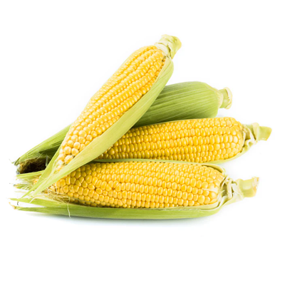 Canadian Sweet Corn