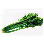 Celery