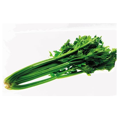 Celery