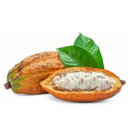 Cocoa Fruit
