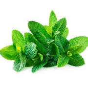 Mint