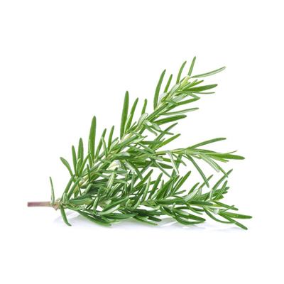 Rosemary