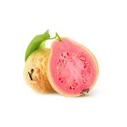 Guava