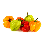 Hot Peppers large