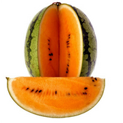 Watermelon (Orange)