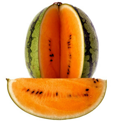 Watermelon (Orange)