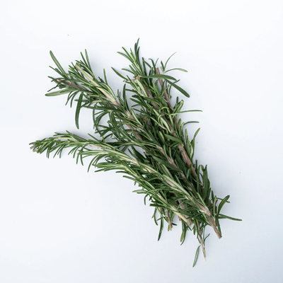 Rosemary