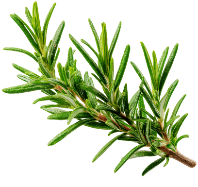 Herbs