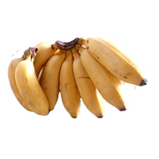 Bananas (Silk Fig)