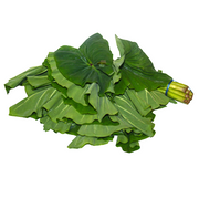 Callaloo Bush (Open)
