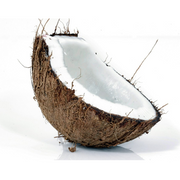 Dry Coconut (L)